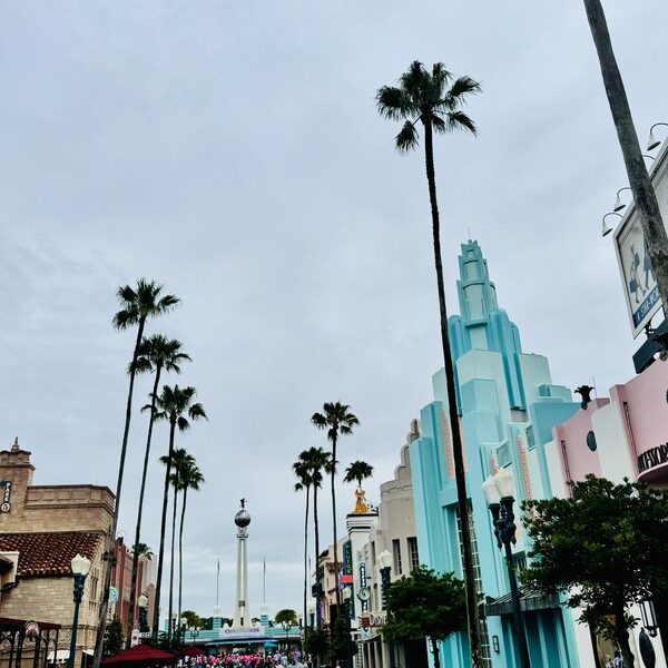 01_EINZEL_Hollywood-Studios_Hollywood-Boulevard