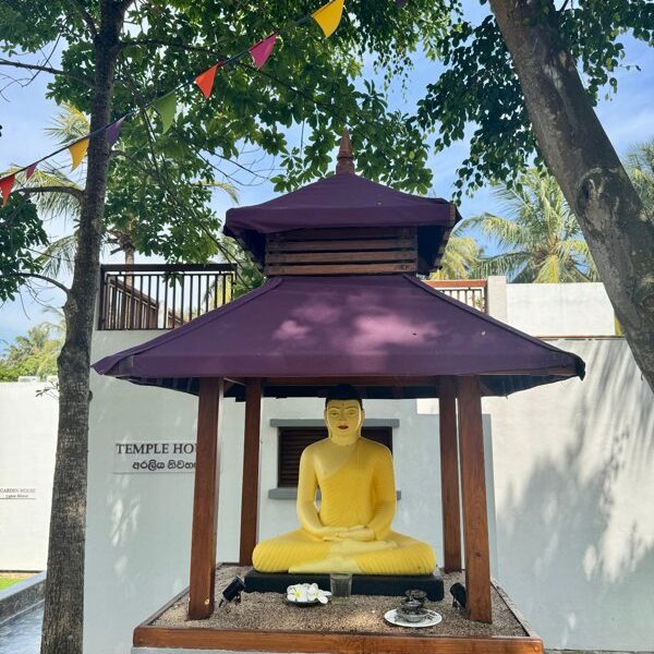 UTMT – Sri Lanka – Ayurveda – Temple Garden UTMT – Sri Lanka – Ayurveda – Temple Garden Foto: © Andrea Fischer, Trips4kids.de