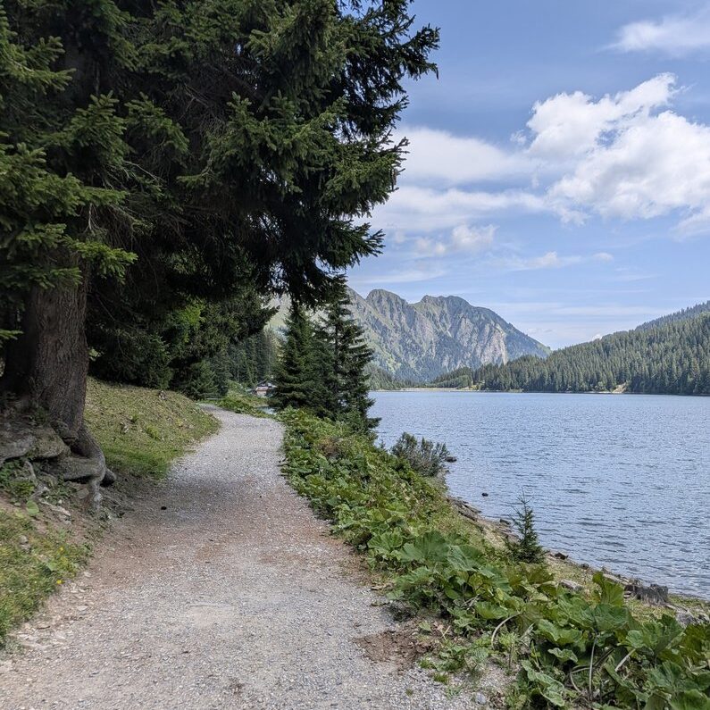 46. Arnensee 46. Arnensee Foto: © Robert Penz