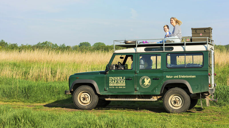 Insel-Safari Insel-Safari © Foto: Usedom Tourismus GmbH/Roy von Elbberg