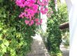 Hotel Bon Sol Bougainvilla