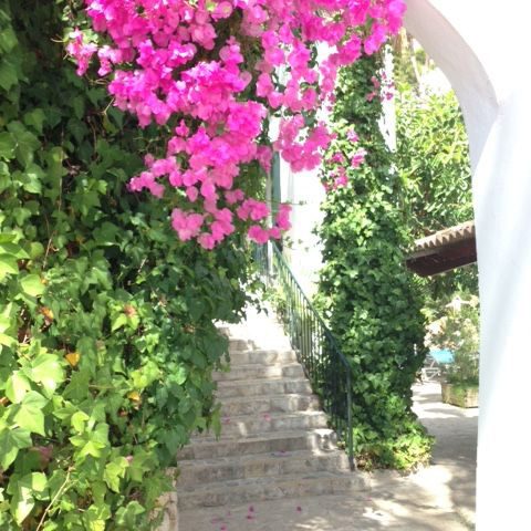 BonSol_Bougainvilla.Bild_SMH.jpg Hotel Bon Sol Bougainvilla