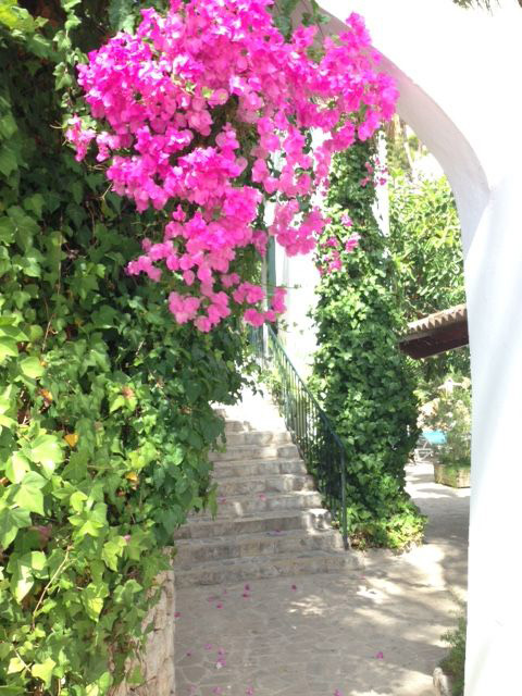 BonSol_Bougainvilla.Bild_SMH.jpg Hotel Bon Sol Bougainvilla