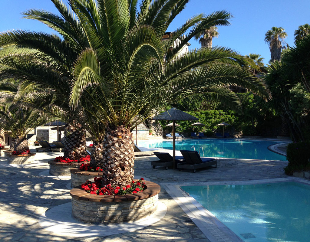 Eagles_Palace_Pool_mit_Palme