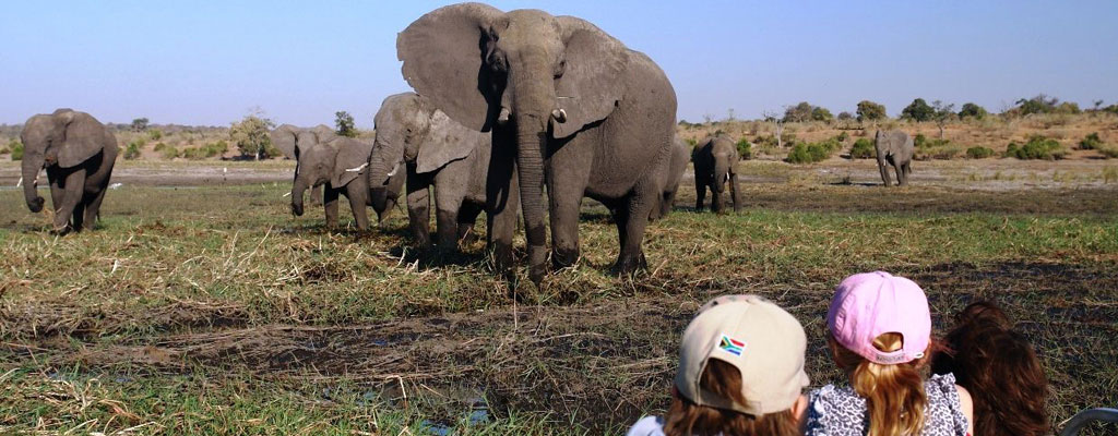 For Family Reisen-Safari mit Kindern_kl.quer; Bild: PR
