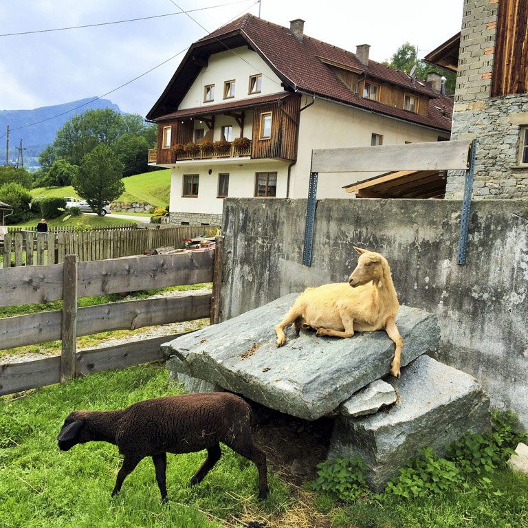 Gourmetbauernhof_Mentebauer_Kaernten_©AndreaFischer_Trips4Kids Gourmetbauernhof_Mentebauer_Kaernten_©AndreaFischer_Trips4Kids