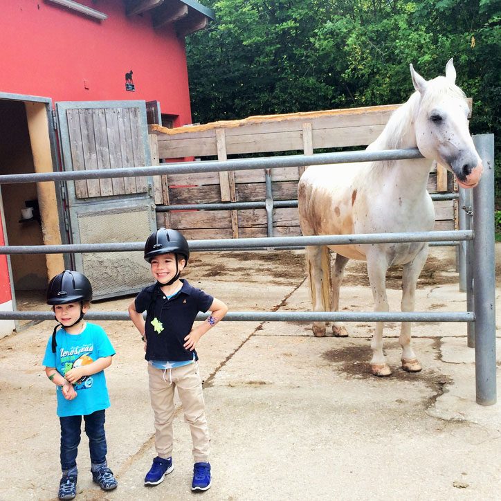 Jungs bei Pferdestall_Biohotel_Ullrichshof_Trips4Kids.de_ Foto Andrea Fischer