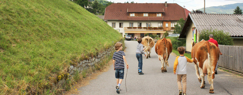 Kuehe treiben_Mentebauer_Kaernten_©AndreaFischer_Trips4Kids