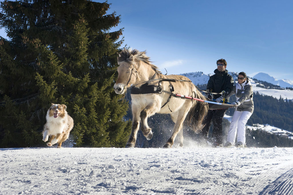Les_Gets_SkiJoering©S.Bailly