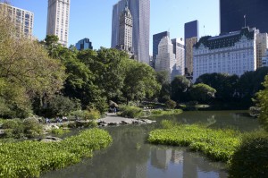 NYCGo_CentralPark_PondAt59th_Bild_AlexLopez1.jpg