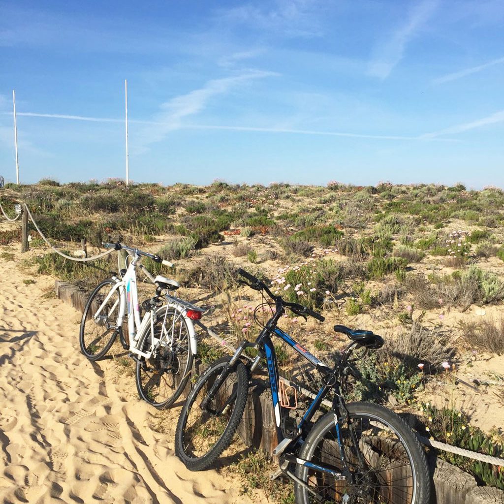 Ria_Park_Radtour.Bild@SMH_Trips4kids.de.jpg Ria_Park_Radtour.Bild@SMH_Trips4kids.de.jpg