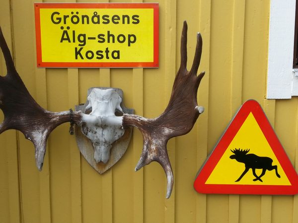 Smaland_Souvenirs_Elchpark.Bild.S.Vodicka.jpg