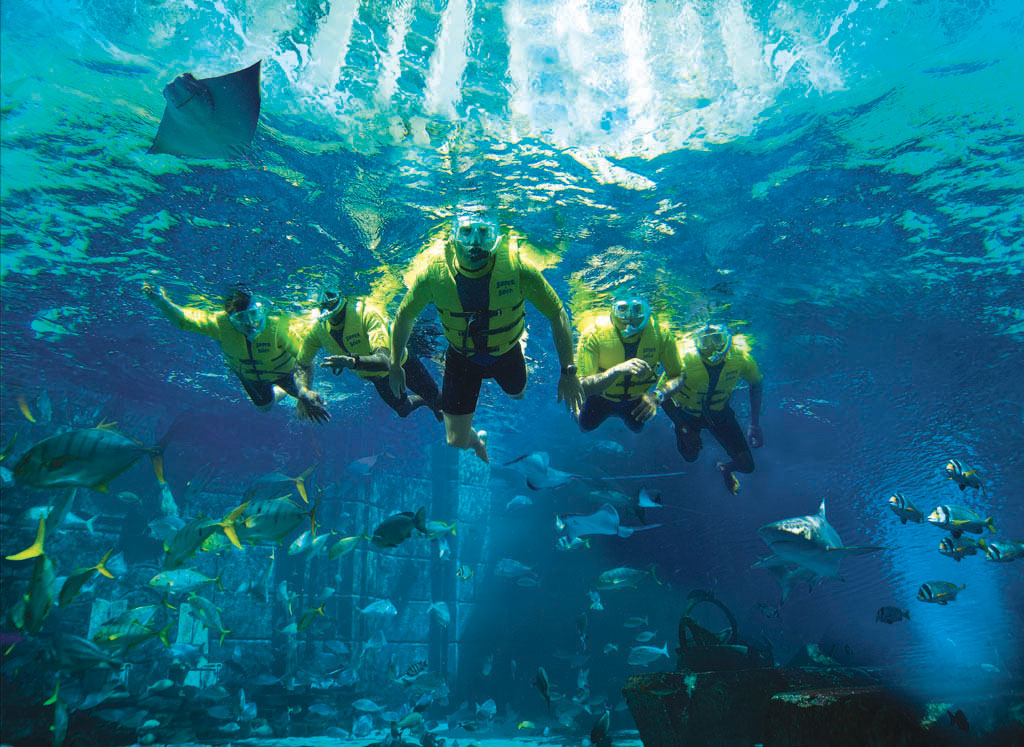 Ultimate Snorkeling