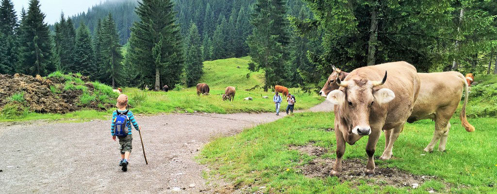 Draußen: Gewitter und Wolken. Drin: richtig gemütlich mit Kaiserschmarrn,