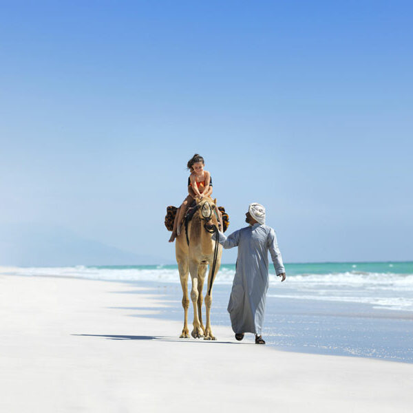 Activities_Camel_Riding.Al_Baleed_Resort_Salalah.Bild._AnantaraPR.8 Oman Anantara Al Baleed Resort Salalah: Kamel reiten am Strand Bild: Anantara PR