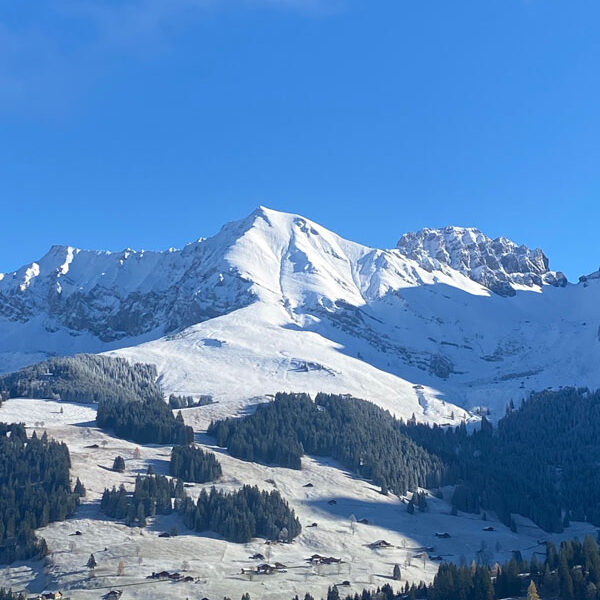 Adelboden_Berge.Bild.SMH.18 Adelboden - Bergpanorama Bild: Trips4kids.de