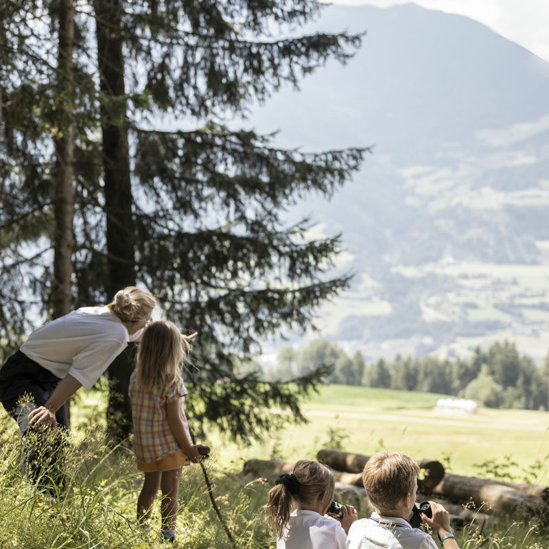 AKI_Family_Resort.Wald.Bild.©AlexFilz-6026.3 AKI Family Resort Plose - Kinder im Wald Bild: Alex Filz