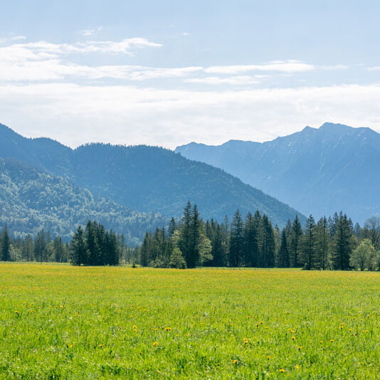 Ammergauer_Alpen_Panorama_Bild-Naturpark_Ammergauer_Alpen_Anja_Liebherr.quer Ammergauer Alpen - Panorama Bild: Naturpark Ammergauer Alpen Anja Liebherr