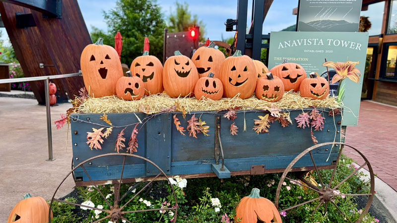 Anakeesta_Park_Halloween.Bild.Svenja.Conrad.quer Anakeesta Freizeitpark Tennessee - Kürbisse an Halloween Bild: Svenja Conrad