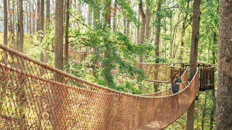 Anakeesta_Park_TreeTop-Skywalk-at-Anakeesta.Bild.AnakeestaPR.quer Anakeesta Freizeitpark Tennessee - Tree Top Skywalk Bild: Anakeesta PR