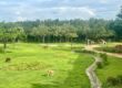 Animal Kingdom Lodge - Giraffen vor dem Haus Foto: © Andrea Fischer, Trips4Kids.de