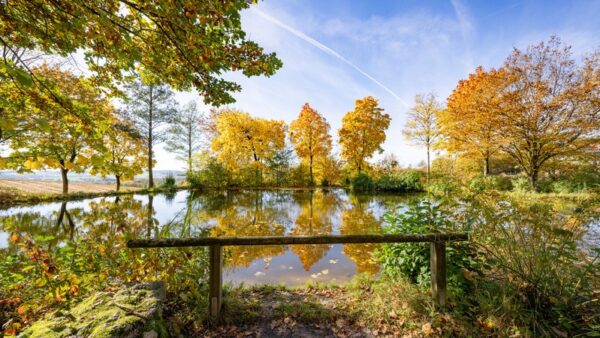 Bad Griesbach_Therme_ Kurpark_Herbst_copyright-guk-bad-griesbach_ (Dirschl Johann)_DSC05709