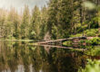 Wandern im Nationalpark Wildsee - Baiersbronn