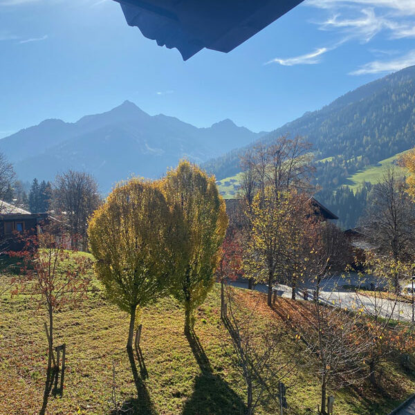 Boeglerhof_Ausblick_Balkon.Bild.T4K.46 Boeglerhof Alpbachtal - Ausblick vom Balkon Bild: Trips4kids.de