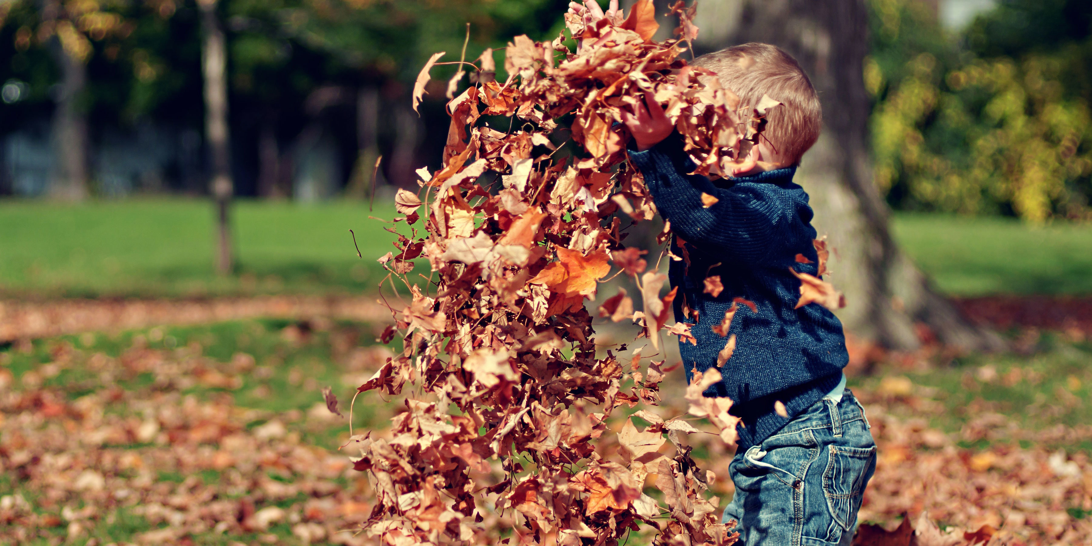 boy-child-dry-leaves.Bild@P&C