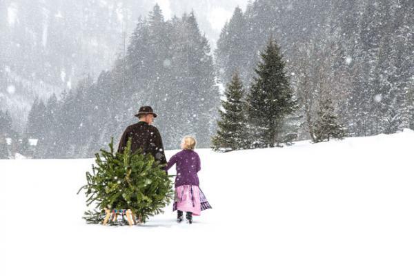 Christbaum holen im Salzburger Land