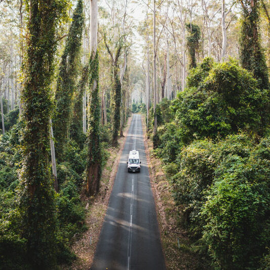 Camper, Fahrt durch den Wald, Foto: Camperdays
