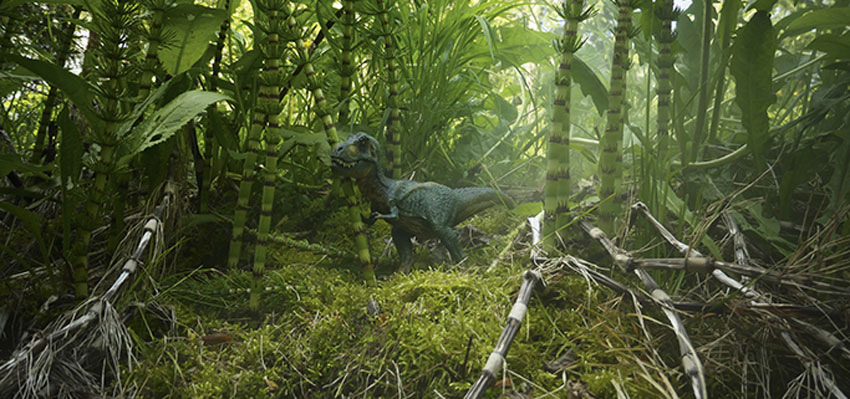 Ch.Rauert_t-rex.Bild._C.Rauert.quer Kleine wilde Tiere - T-Rex