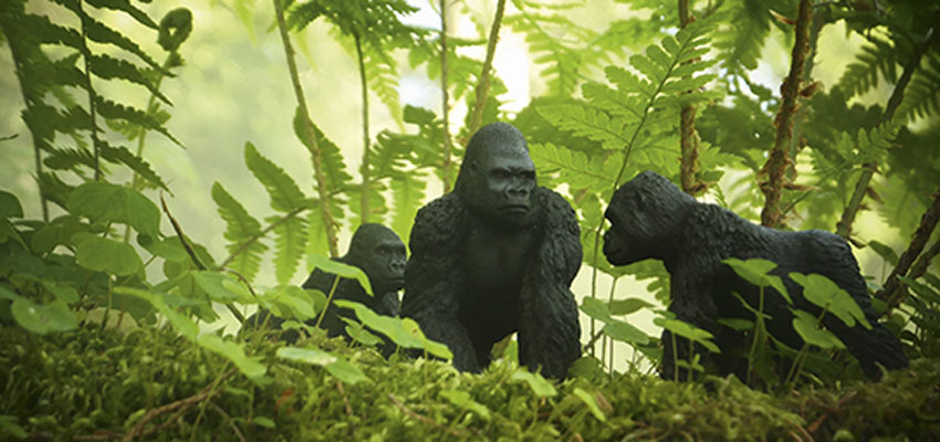 ch.Rauert..gorila.Bild.Ch.Rauert.quer Kleine wilde Tiere - Gorilla