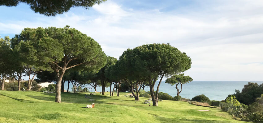 Club-Med-Wiese.Bild.T4K.quer Wiese mit Meerblick im Club Med Da Balaia