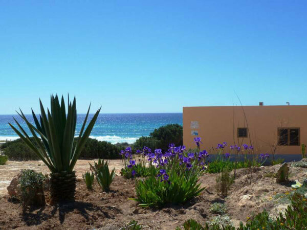 csm_Arenas_del_Mar_im_Fruehling.Bild@ArenasdelMar.2 Bungalow Arenas del Mar im Fruehling