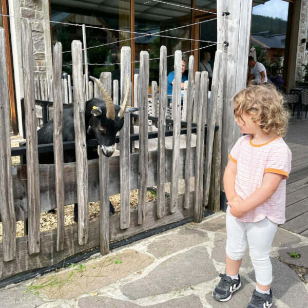Dachsteinkoenig-Kind-und-Ziege Dachsteinkoenig-Kind-und-Ziege Bild: Sarah Spang