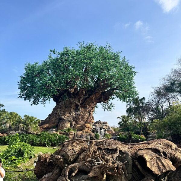 Disney Animal Kingdom - Tree of Life Disney Animal Kingdom - Tree of Life Foto: © Andrea Fischer, Trips4Kids.de