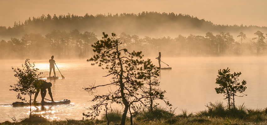 Estland_SUP_im_Moor©_Visit_Estonia__Raigo_Tnisalu.quer Visit Estland - Estland SUP im Moor