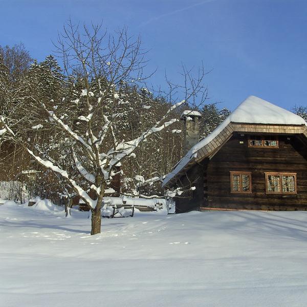 Gfaellhuette.Winter.Bild.Ferienhof_Sellmayer.1 Gfaellhuette im Winter -Ferienhof Sellmayer