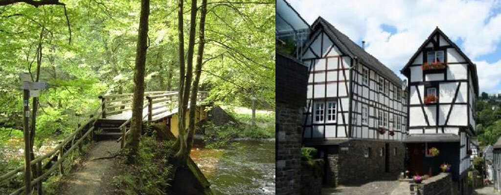 Harz