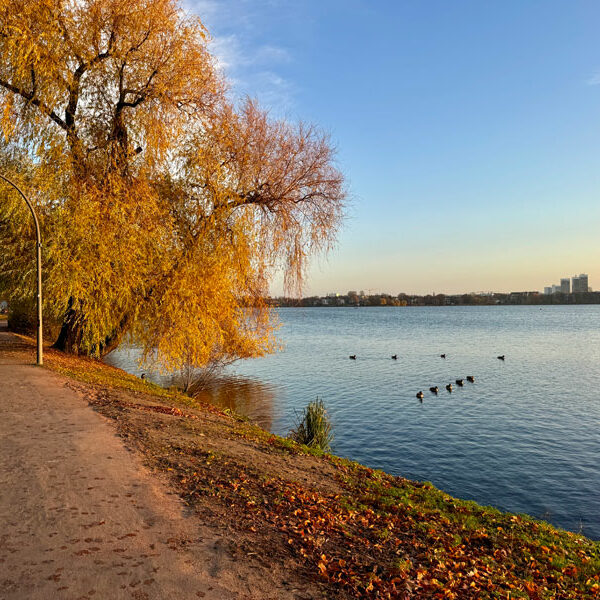 Herbst-Alster Herbst-Alster Foto: © Andrea Fischer Trips4Kids.de