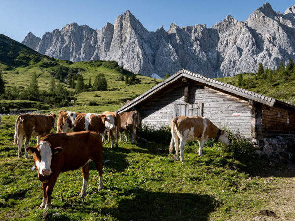 Hotel_ENG-natur_pur_die_eng.Bild.Hotel_ENG.1 Hotel ENG - Natur pur erleben