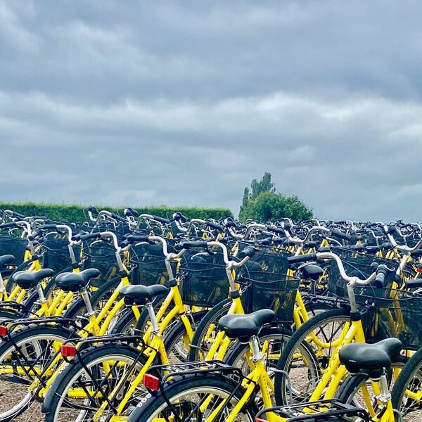 Insel_Ven_Fahrraeder.Bild.Trips4kids.4 Landskrona - Insel VEN: Fahrrad Verleih Bild: Trips4kids.de
