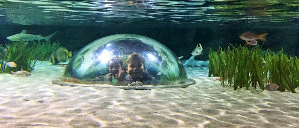 Kids im Aquarium-Sealife-Oberhausen©AndreaFischer_Trips4Kids