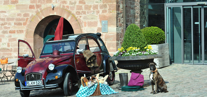 Kloster_Hornbach_Miet-Ente_mit_Hund_©_Hotel_Kloster_Hornbach Kloster_Hornbach_Miet-Ente_mit_Hund_©_Hotel_Kloster_Hornbach