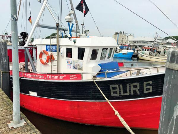 Fehmarn mit Kindern, Tipps, Kutterfahrt Tuemmler, Bild A. Fischer
