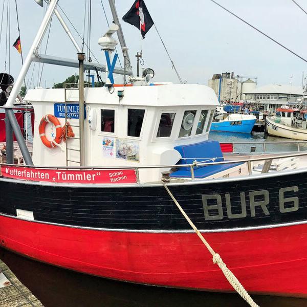 Kutter-Tuemmler Fehmarn mit Kindern, Tipps, Kutterfahrt Tuemmler, Bild A. Fischer