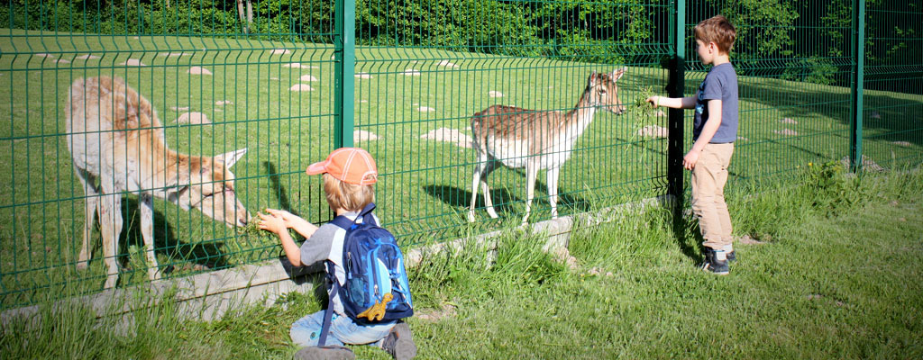 la-cerisaie_Breitenbach_Rehe fuettern_AndreaFischer_Trips4Kids.de