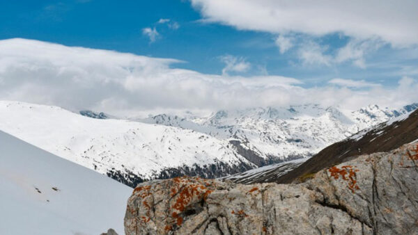 Laax