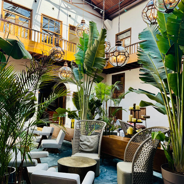 LaLaguna-Granhotel---Lobby-Bohovibes LaLaguna-Granhotel---Lobby-Bohovibes Foto: © Andrea Fischer Trips4me.de